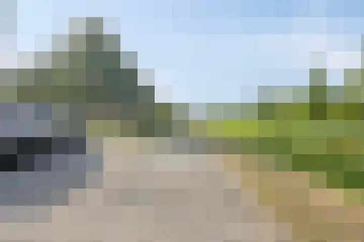 Schotbalk 25 Urk thumbnail 30