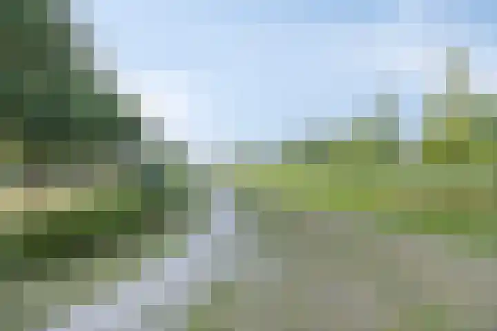 Schotbalk 25 Urk thumbnail 31
