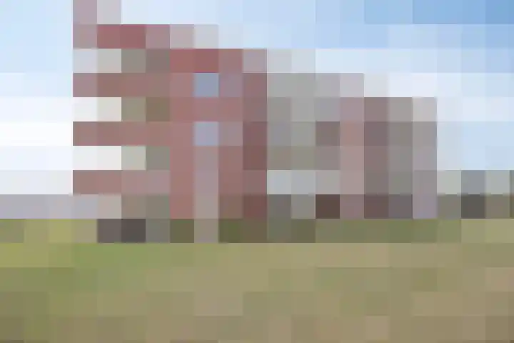 Schotbalk 25 Urk thumbnail 4