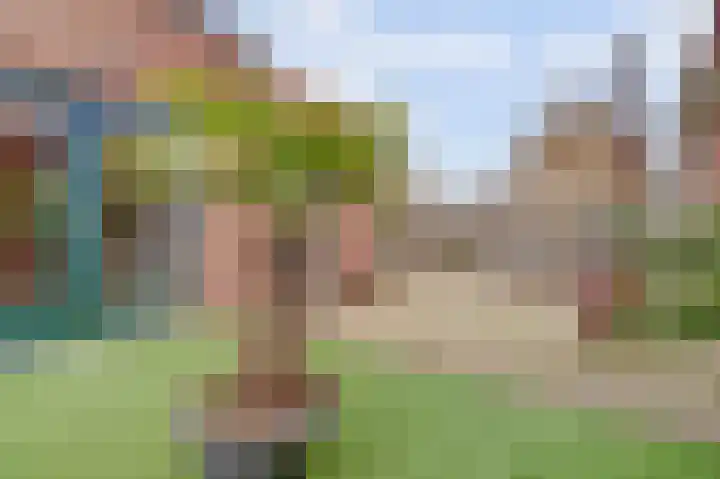 Schotdeuren 23 Gorinchem thumbnail 39