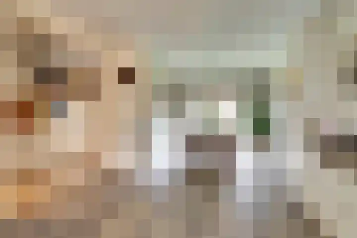 Schotdeuren 23 Gorinchem thumbnail 4