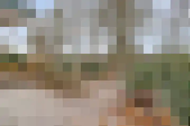 Schotdeuren 23 Gorinchem thumbnail 8