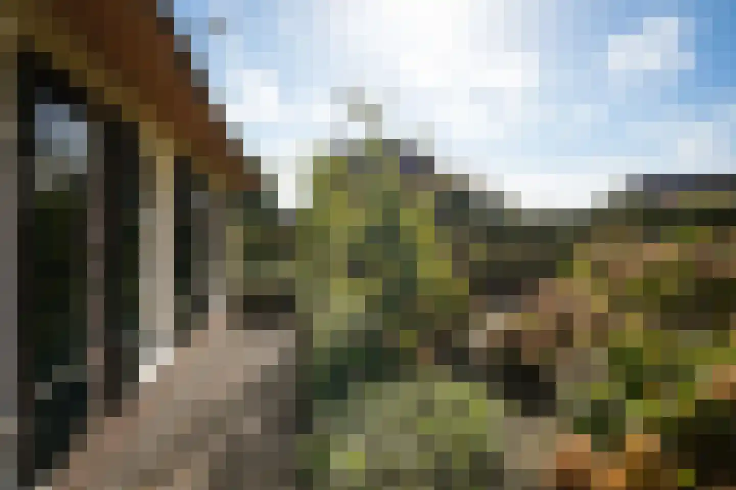 Schotdeuren 42 Arkel thumbnail 32