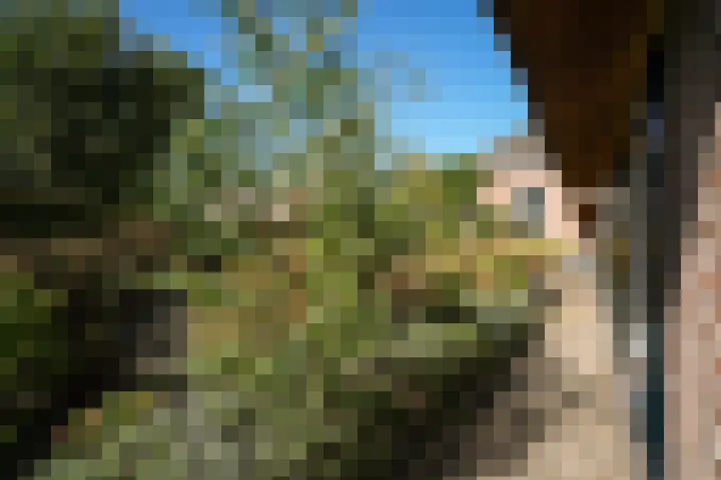 Schotdeuren 42 Arkel thumbnail 33