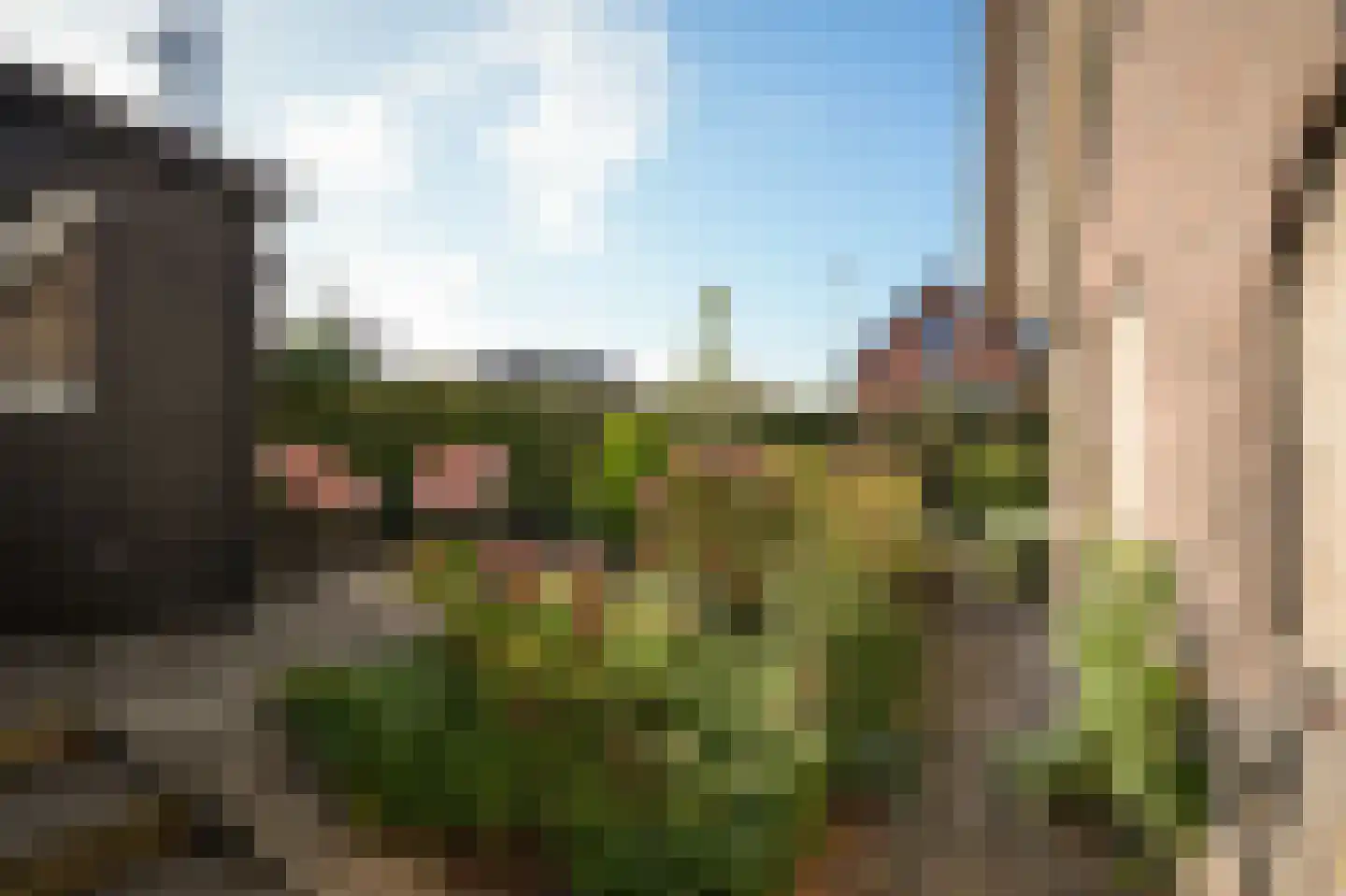 Schotdeuren 42 Arkel thumbnail 34