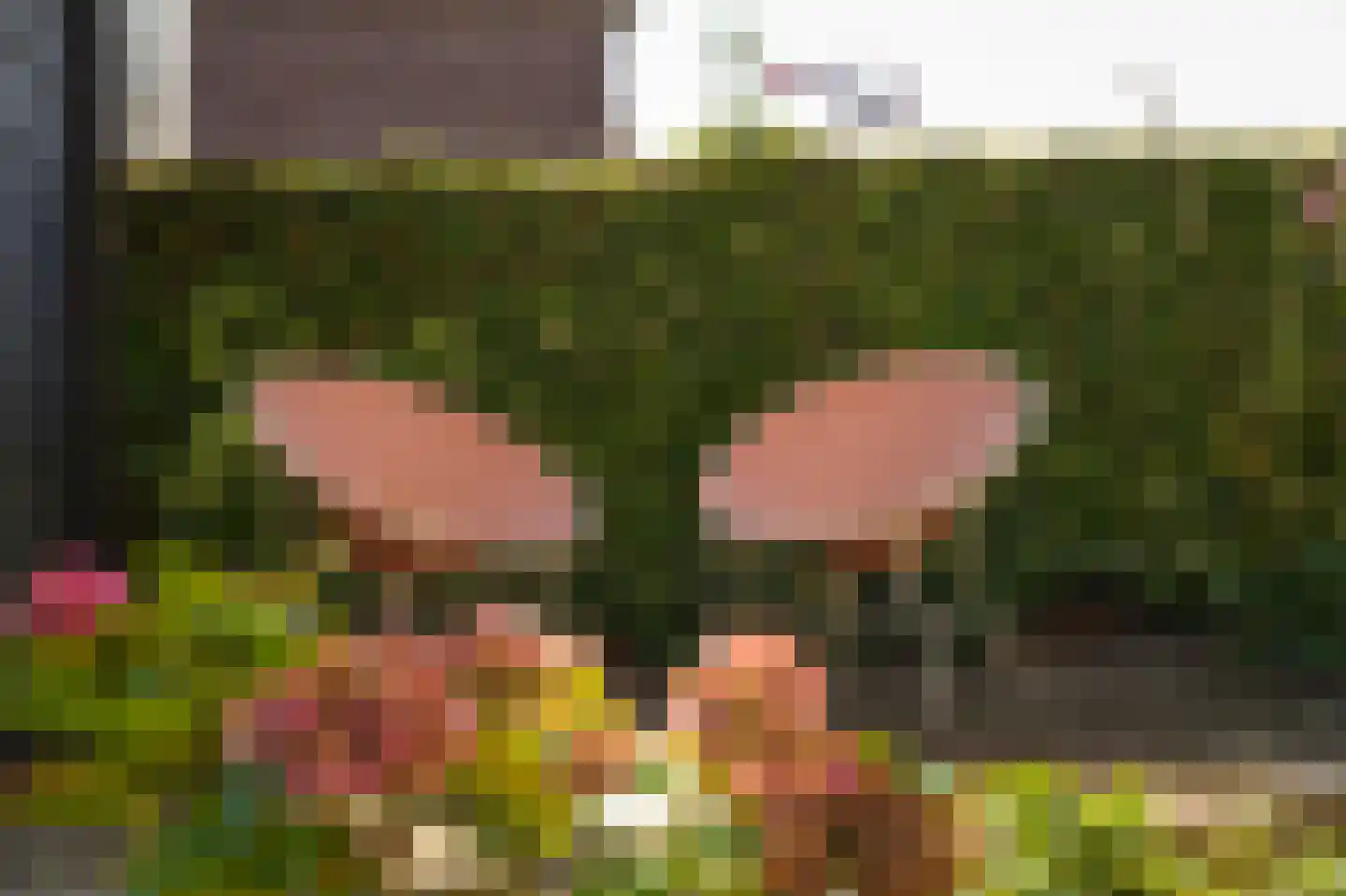Schotdeuren 42 Arkel thumbnail 35