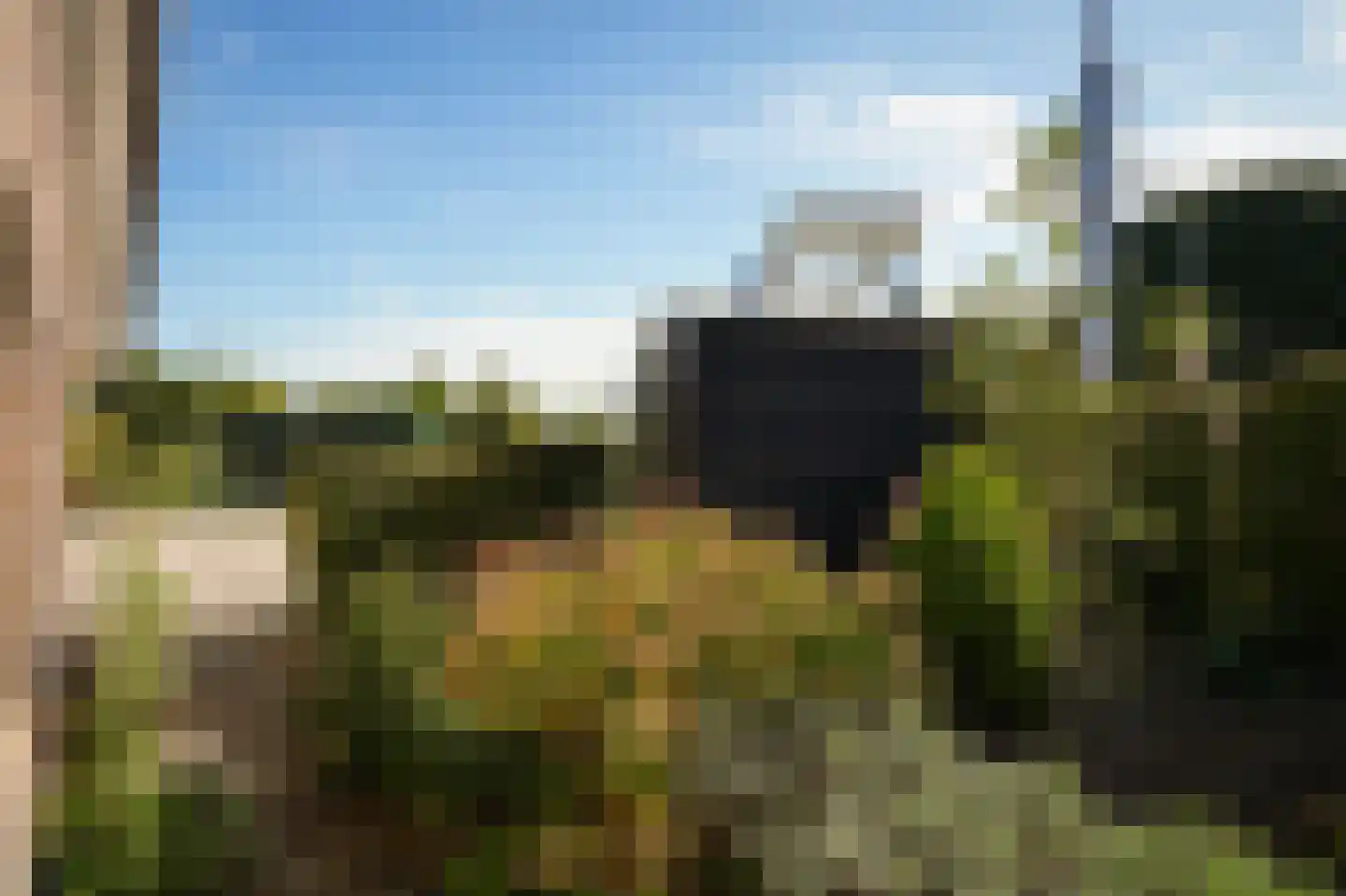 Schotdeuren 42 Arkel thumbnail 36