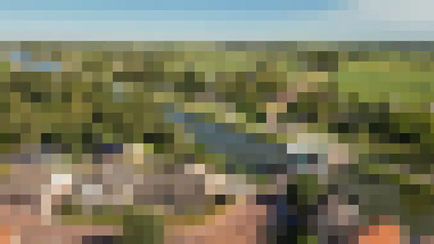Schotdeuren 42 Arkel thumbnail 7