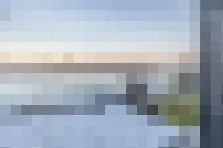 Schotdeuren 8 C Arkel thumbnail 11