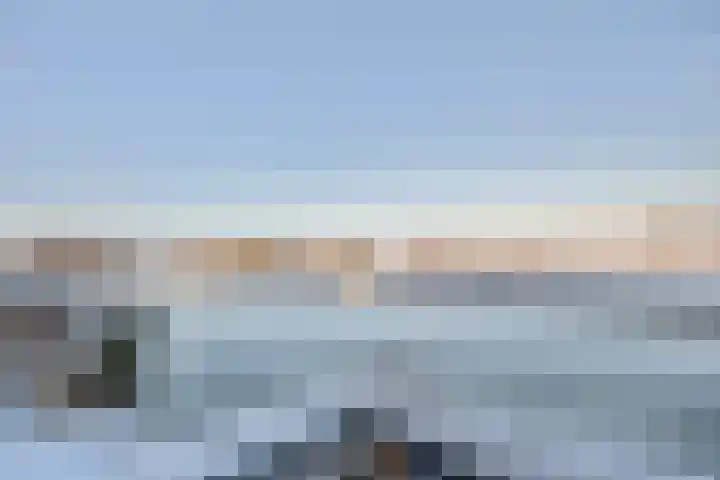 Schotdeuren 8 C Arkel thumbnail 13