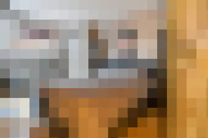 Schotdeuren 8 C Arkel thumbnail 15