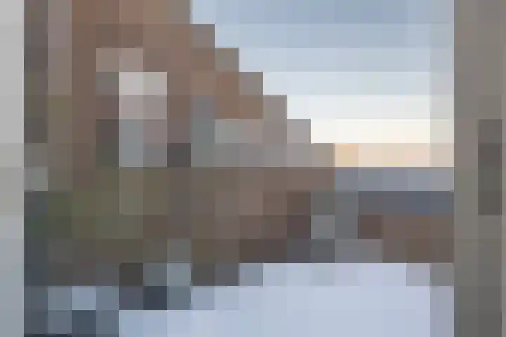 Schotdeuren 8 C Arkel thumbnail 18