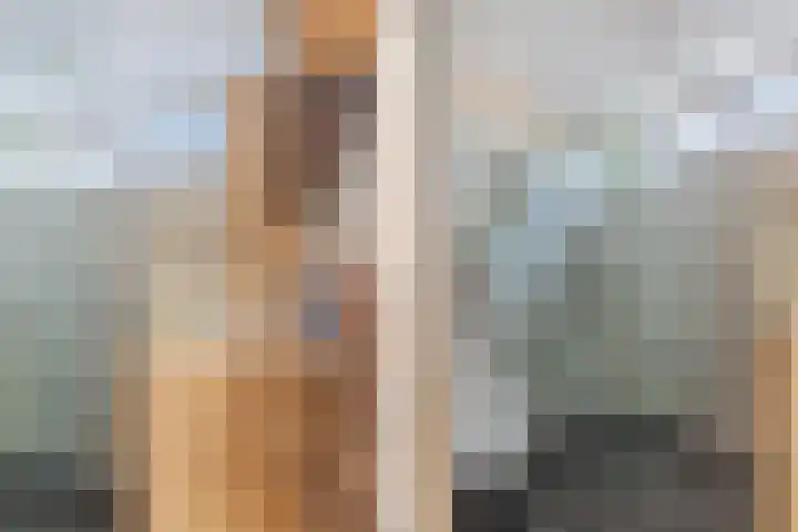 Schotdeuren 8 C Arkel thumbnail 20