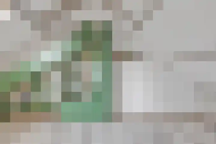 Schotdeuren 8 C Arkel thumbnail 26