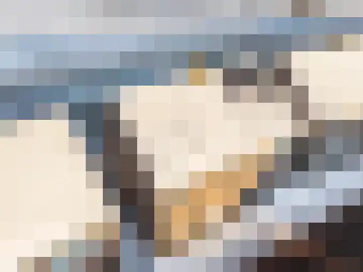 Schotdeuren 8 C Arkel thumbnail 31