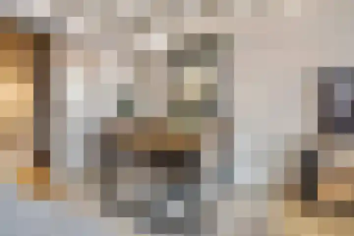Schotdeuren 8 C Arkel thumbnail 4