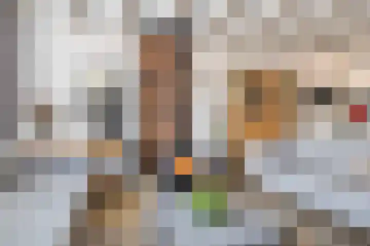 Schotdeuren 8 C Arkel thumbnail 7