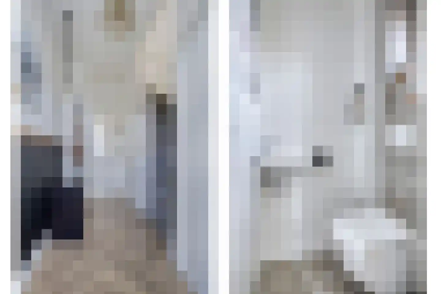 Schotelkamp 14 Hooghalen thumbnail 10