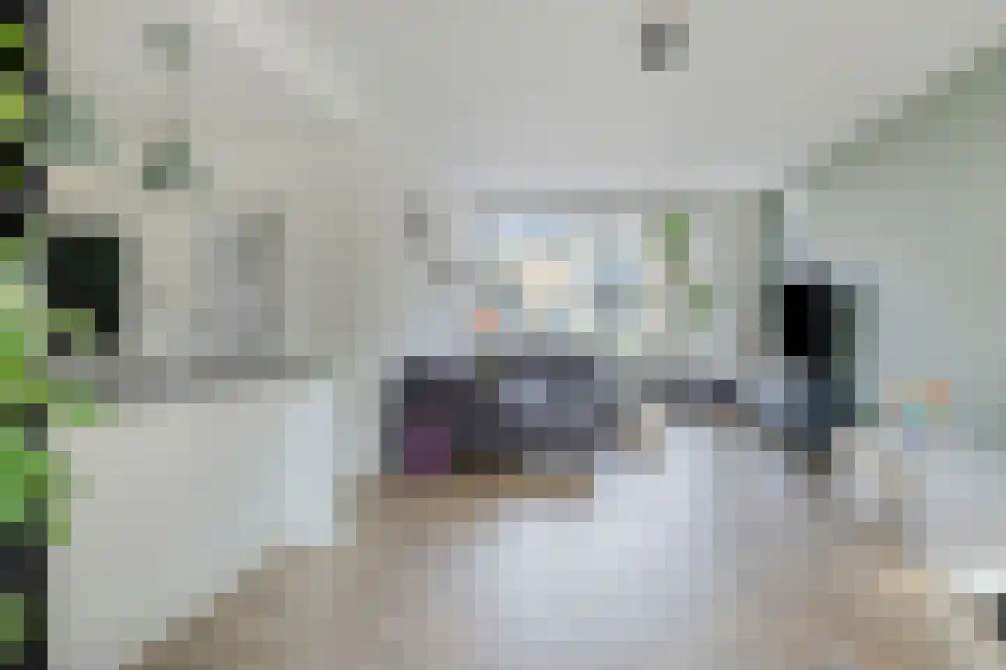 Schotelkamp 14 Hooghalen thumbnail 17