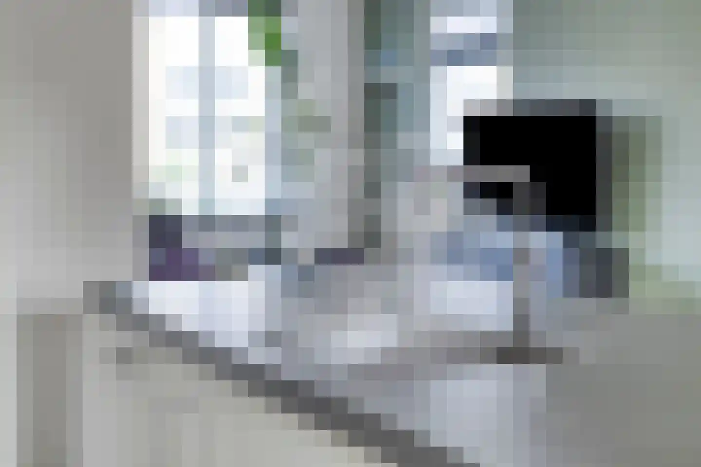 Schotelkamp 14 Hooghalen thumbnail 19