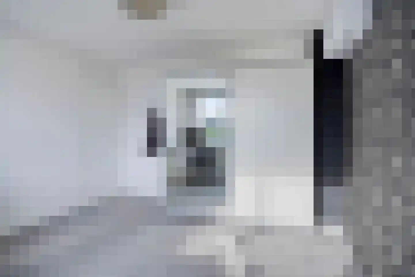 Schotelkamp 14 Hooghalen thumbnail 32