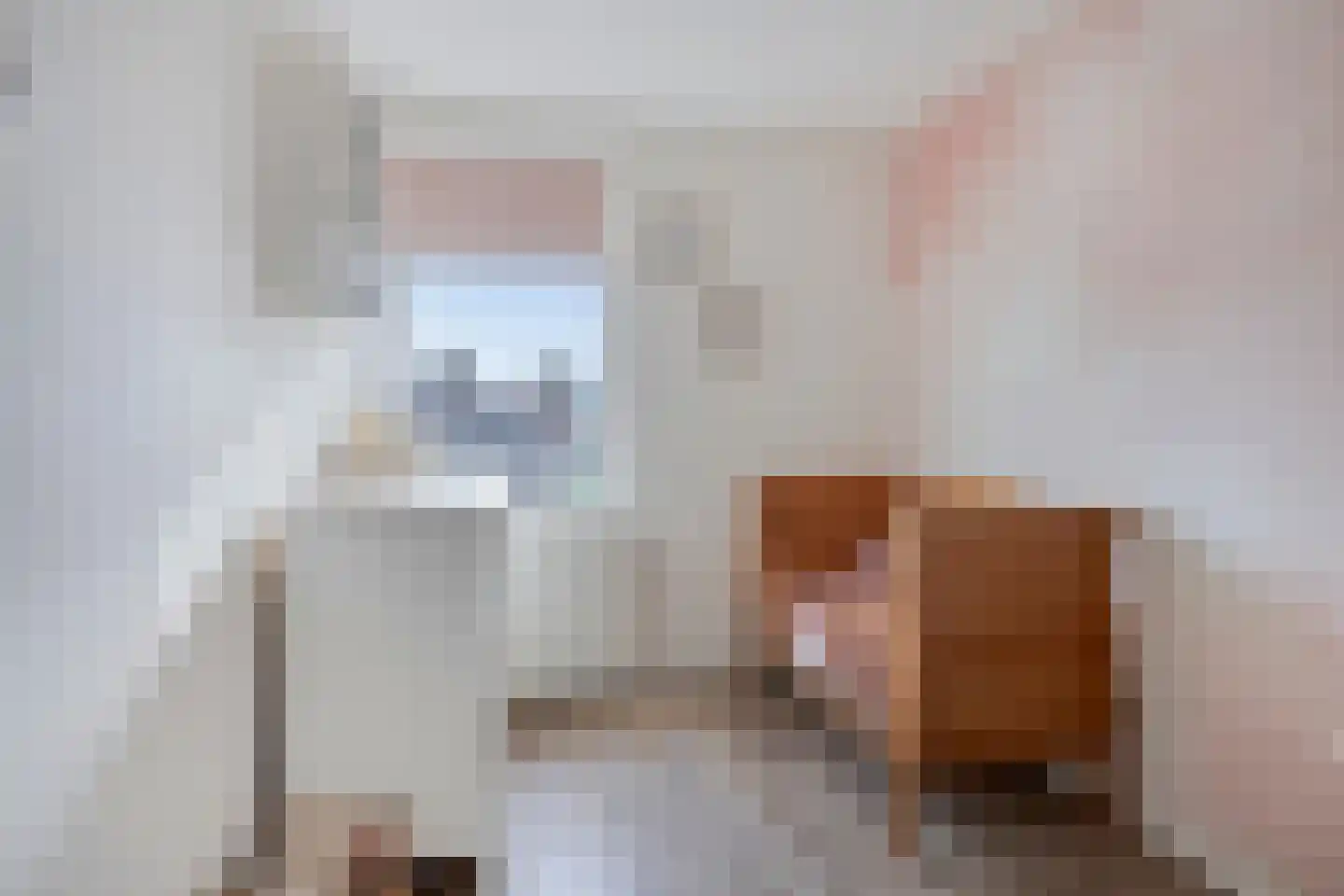Schotelkamp 14 Hooghalen thumbnail 33