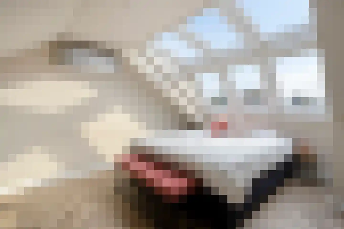 Schotelkamp 14 Hooghalen thumbnail 38