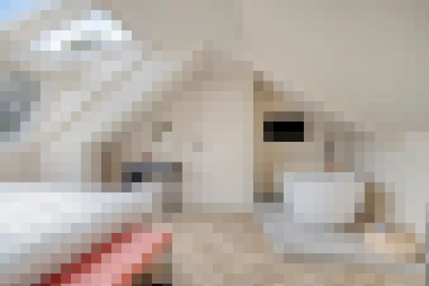 Schotelkamp 14 Hooghalen thumbnail 39
