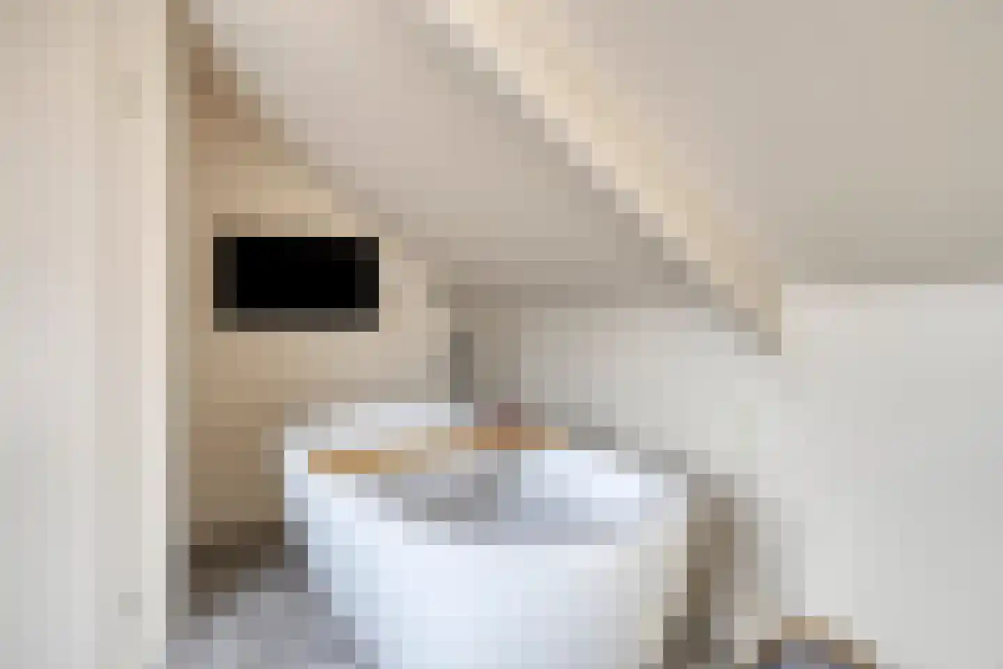 Schotelkamp 14 Hooghalen thumbnail 40