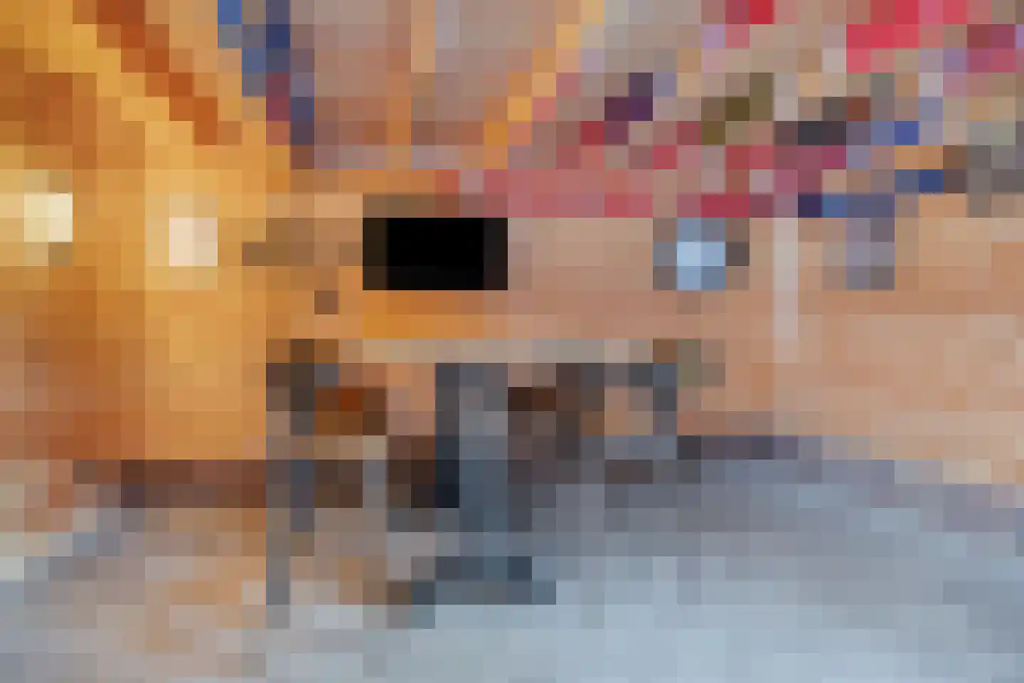 Schotelkamp 14 Hooghalen thumbnail 48
