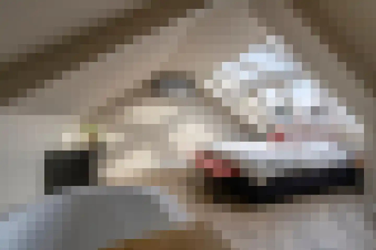 Schotelkamp 14 Hooghalen thumbnail 5