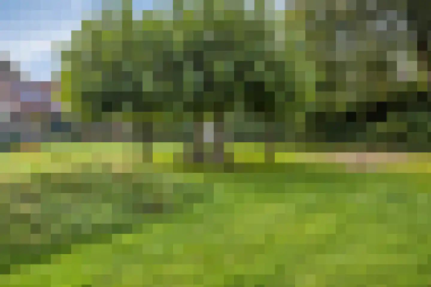 Schotelkamp 14 Hooghalen thumbnail 57