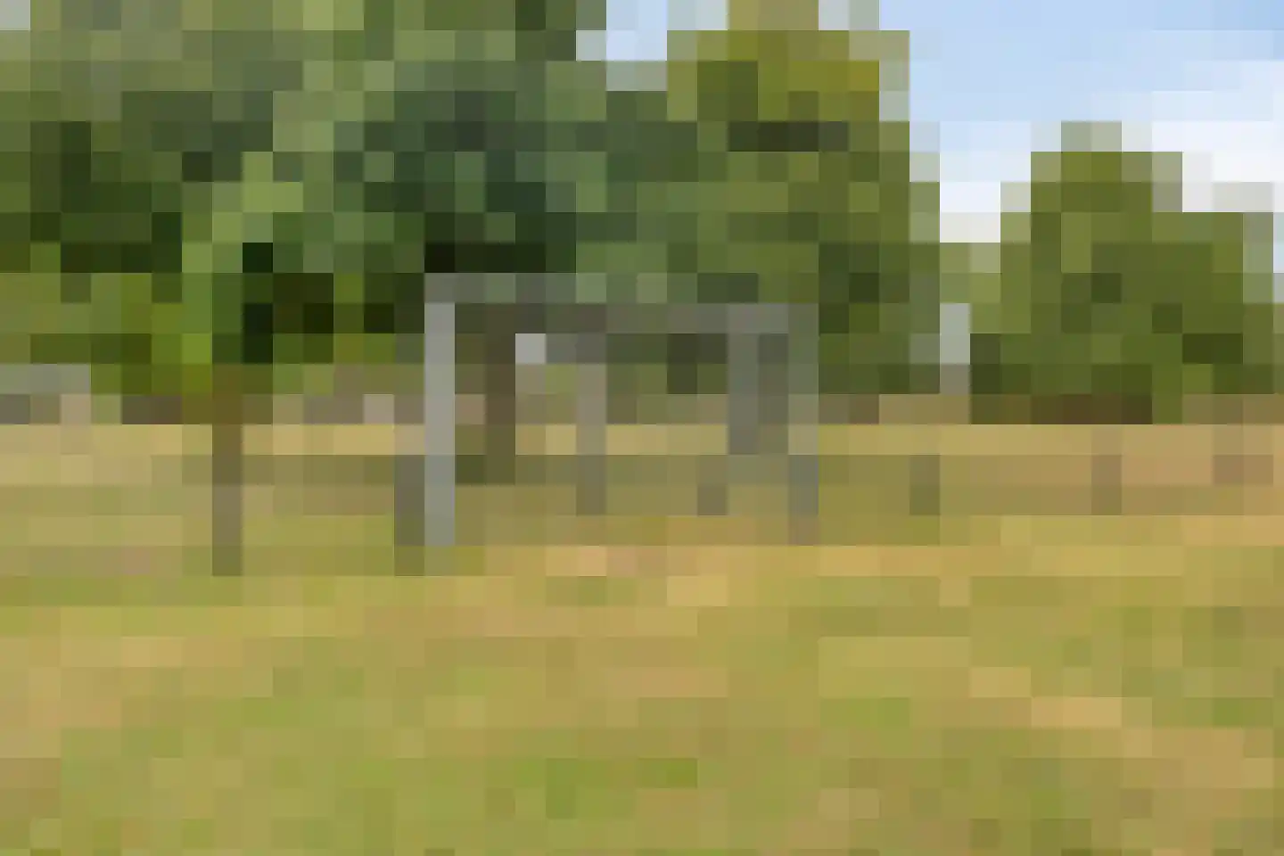 Schotelmospad 10 Almere thumbnail 26