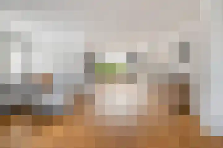 Schotenhof 39 Prinsenbeek thumbnail 11