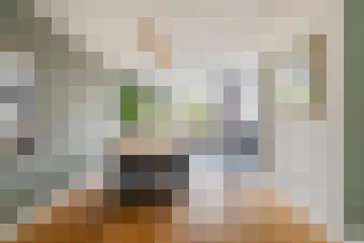 Schotenhof 39 Prinsenbeek thumbnail 12
