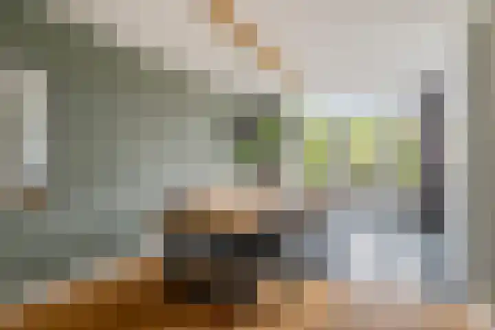 Schotenhof 39 Prinsenbeek thumbnail 13