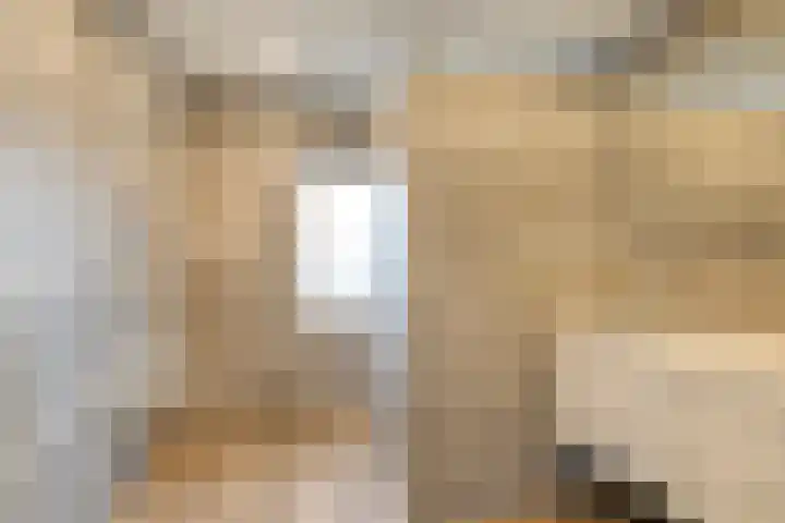 Schotenhof 39 Prinsenbeek thumbnail 23