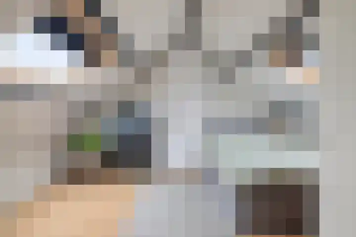 Schotenhof 39 Prinsenbeek thumbnail 25