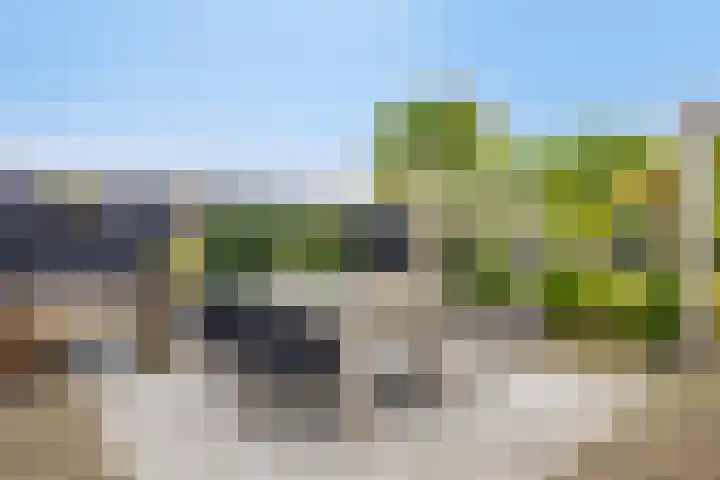 Schotenhof 39 Prinsenbeek thumbnail 28