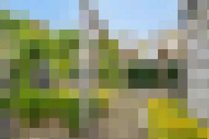 Schotenhof 39 Prinsenbeek thumbnail 29