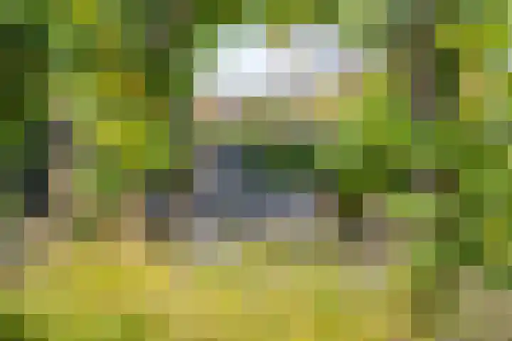 Schotenhof 39 Prinsenbeek thumbnail 30