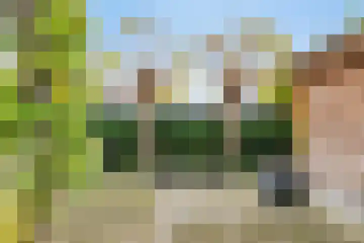 Schotenhof 39 Prinsenbeek thumbnail 32