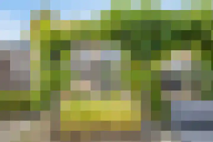 Schotenhof 39 Prinsenbeek thumbnail 33
