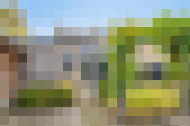 Schotenhof 39 Prinsenbeek thumbnail 4