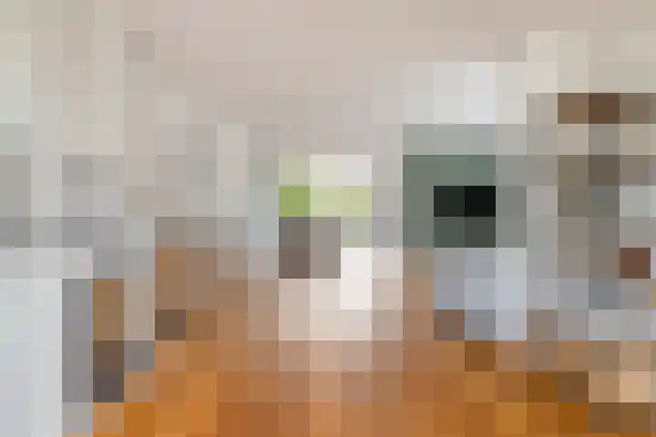 Schotenhof 39 Prinsenbeek thumbnail 8