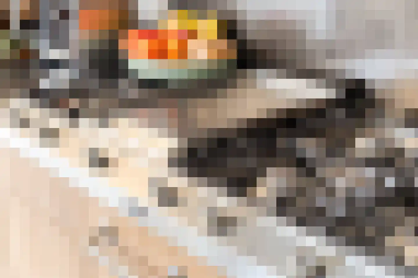 Schotenstraat 22 Terheijden thumbnail 13