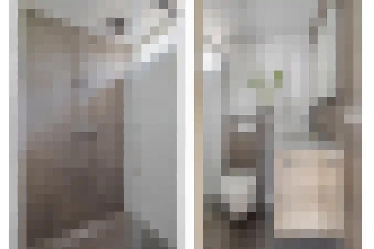 Schotenstraat 22 Terheijden thumbnail 22