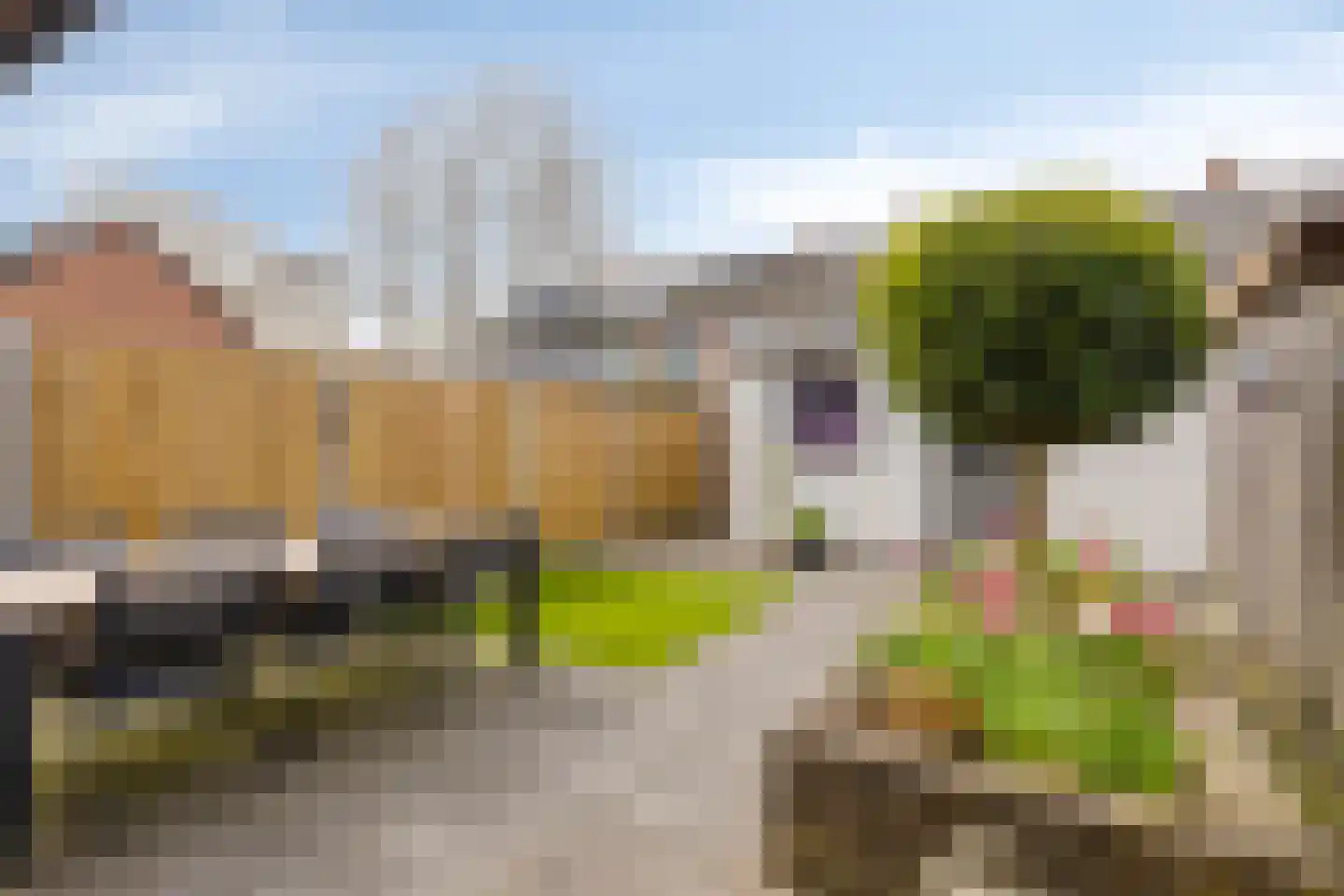 Schotenstraat 22 Terheijden thumbnail 26