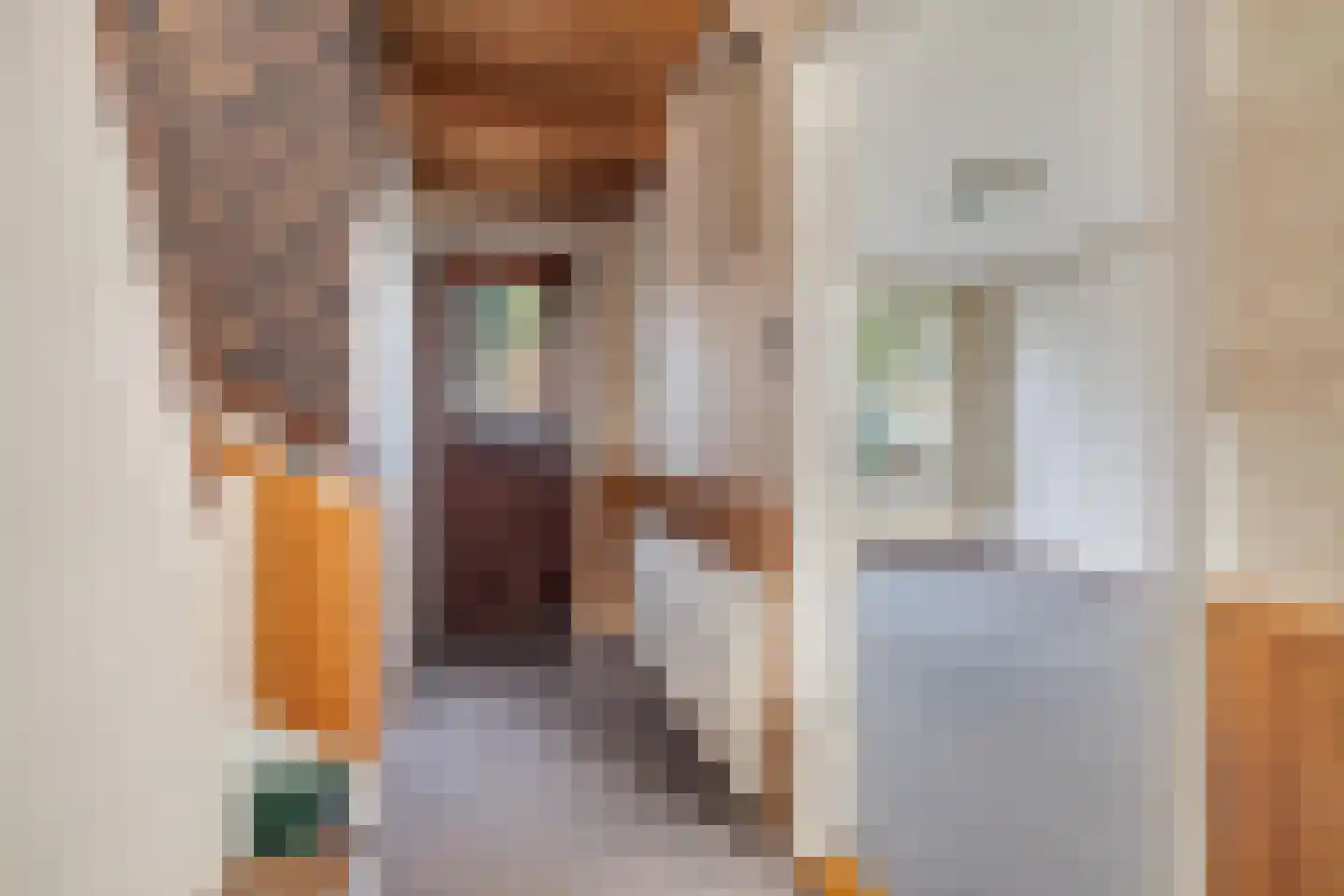 Schotenstraat 3 Terheijden thumbnail 12
