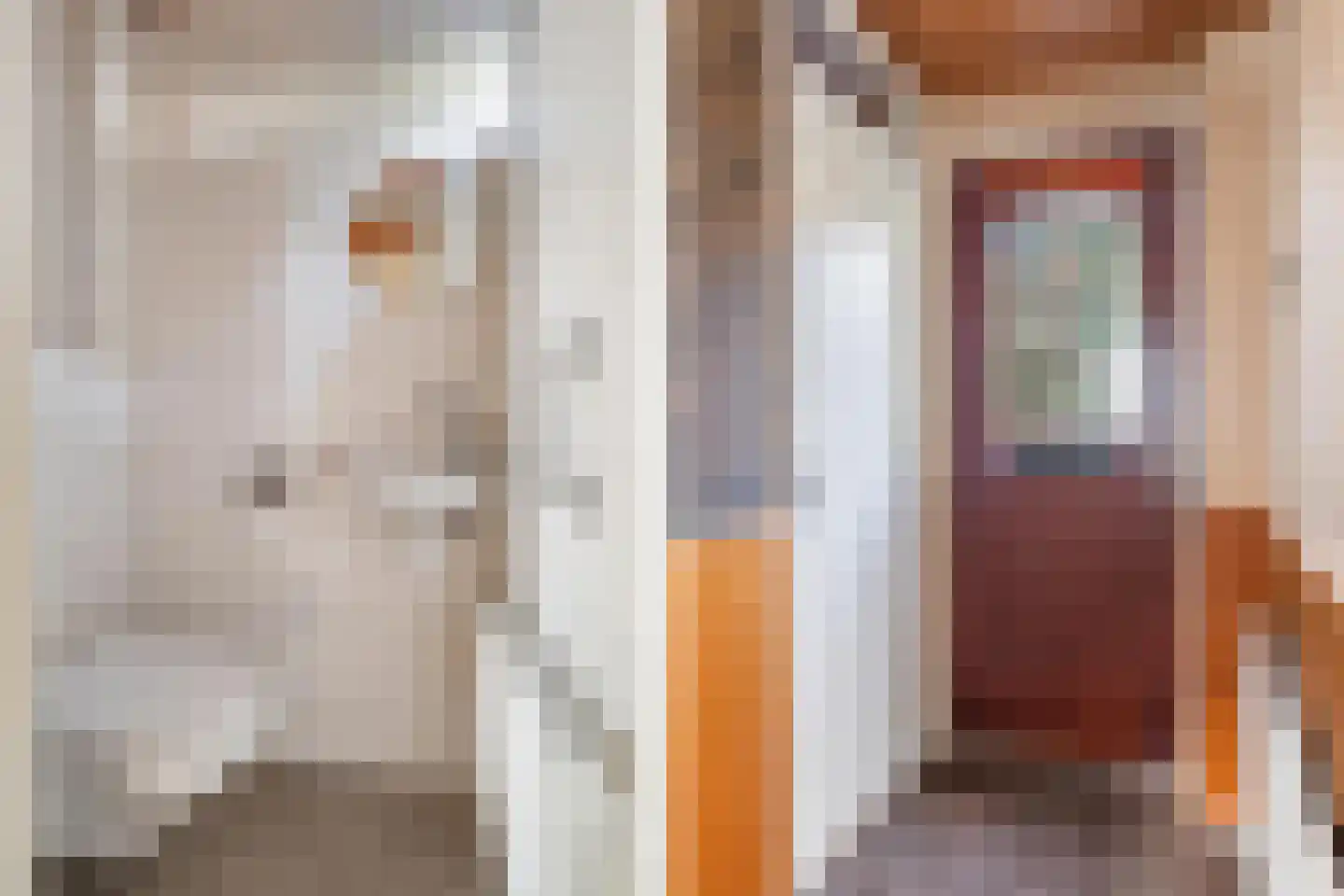 Schotenstraat 3 Terheijden thumbnail 14